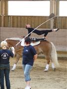 voltitag 2009 _CD1 142